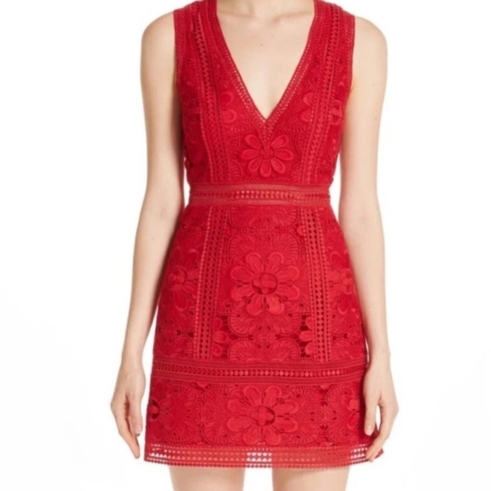 Alice + Olivia Scarlet Floral Lace Mini Dress